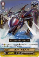 Guide Dolphin