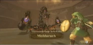 Moldarg pelea título