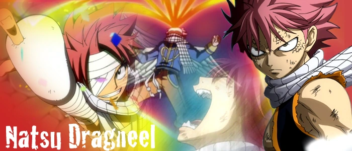Natsu.banner.request