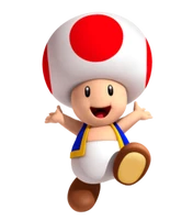 MKXL Toad