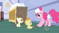 Pinkie Pie in diapers S2E13