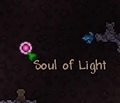 SoulLight.jpg (8 KB) SoulLight