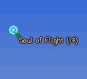 SoulFlight