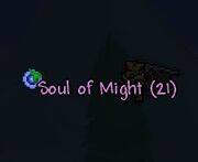 SoulMight
