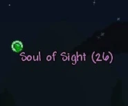 SoulSight