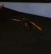 ObsidianWhelp