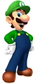 SM3DL Luigi