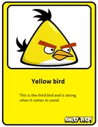 Yellow-card