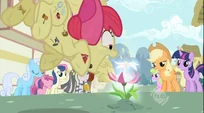 Apple Bloom pounces S02E06