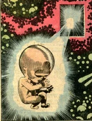 Newseed2
