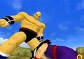 Nappa Gohan Budokai