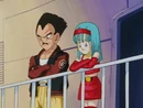 Vegeta and Bra