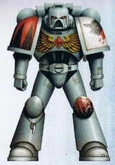 SpaceWolvesColourScheme