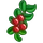 Cranberries-icon.png