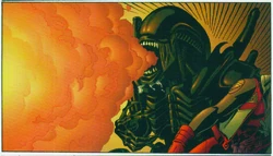 Wildcats & Aliens30 copie