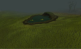 WildernessOasis
