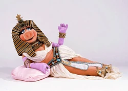 Cleopatra-piggy-wide