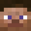 SteveFace