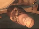 Dempsey Matryoshka
