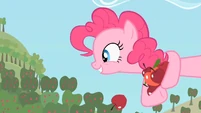 Pinkie Pie I want S2E13