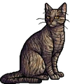 Leafstar.warrior