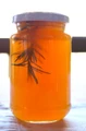 SOLAR ORANGE JELLY.jpg