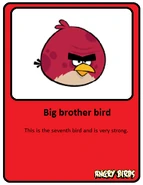 Big-red-card