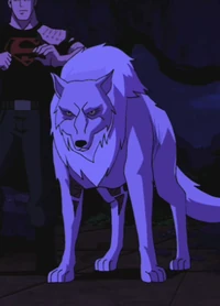 Wolf