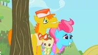 Mr. & Mrs. Cake high hopes S2E13