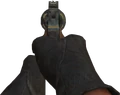 Python Iron Sights BO