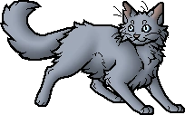 Bluestar.apprentice.png