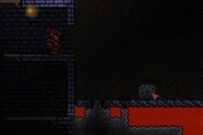 Obvious Mimic
