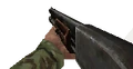 Shotgun blopsDS