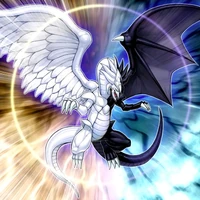 Foto dragón de la luz y la oscuridad