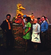 SesameStrSeason 1 alternate