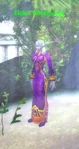 Elder Windsong