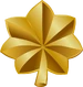 US Army OF-4.png