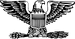 US Army OF-6.png