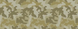 Weapon camo menu desert