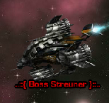 New Boss Streuner.jpg