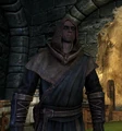 Breton mage.png
