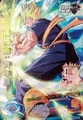 Adult Gohan Heroes
