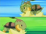 EP506 Turtwig de Ash vs Turtwig de Gardenia