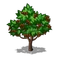 Coffeetree icon.10.png