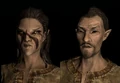 Bosmer (Skyrim).png