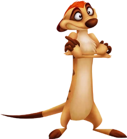 Timon.png