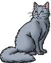 Mistystar.warrior