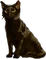 HO Tut Cat-icon