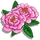 Peony-icon