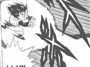 Unknown-3kamehameha
